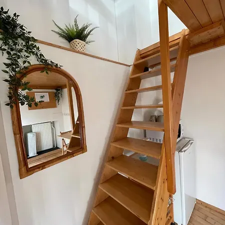 Super Small Micro-treehouse In The Centre Ljubljana