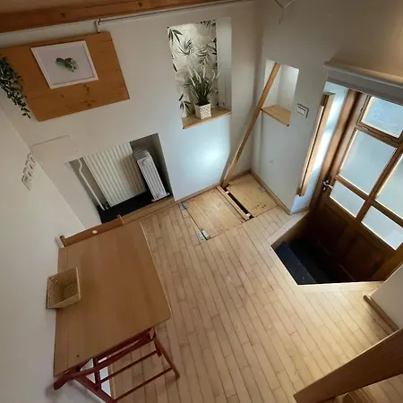 Super Small Micro-treehouse In The Centre