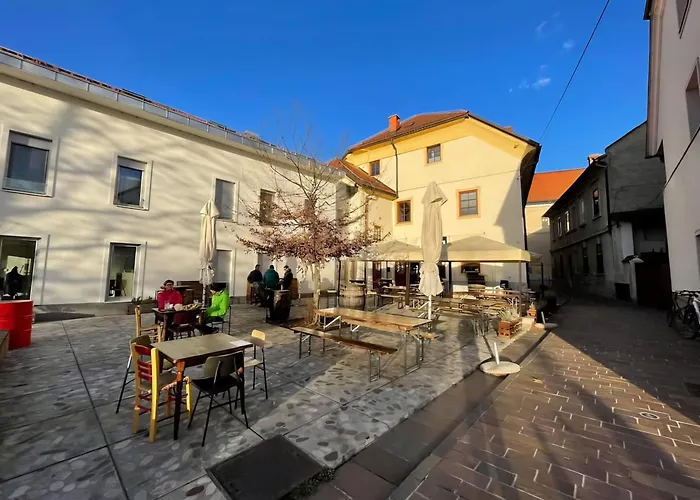 Super Small Micro-treehouse In The Centre Apartment